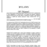 Lexub   Sample Nonprofit Bylaws | United States Within Nonprofit Bylaws Template Sample