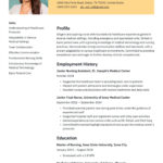 Nurse Resume Examples & Templates (2024) · Resume.io Regarding RN Resume Template Sample