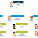 Organizational Chart   What Is An Organization Chart? Definition With Regard To Organizational Chart Sample Template