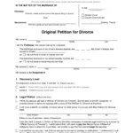 Original Petition For Divorce Pdf Form   Formspal For Divorce Petition Sample Template