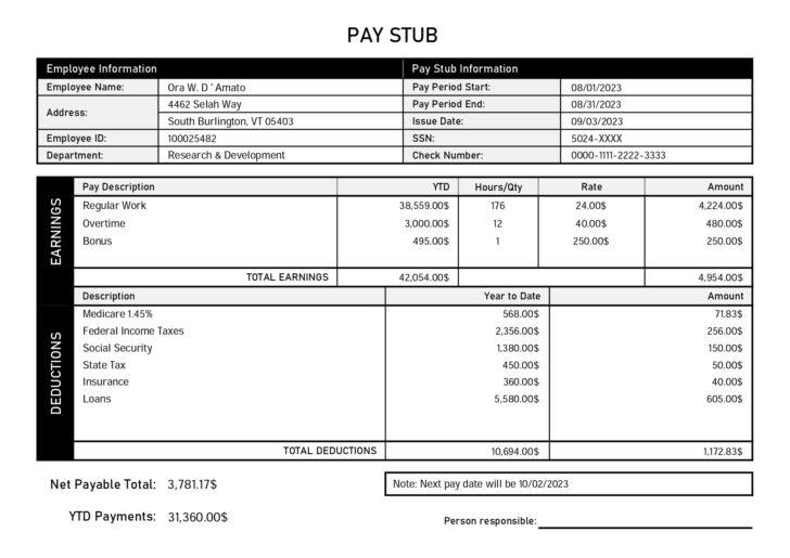 Pay Stub Template Sample Free