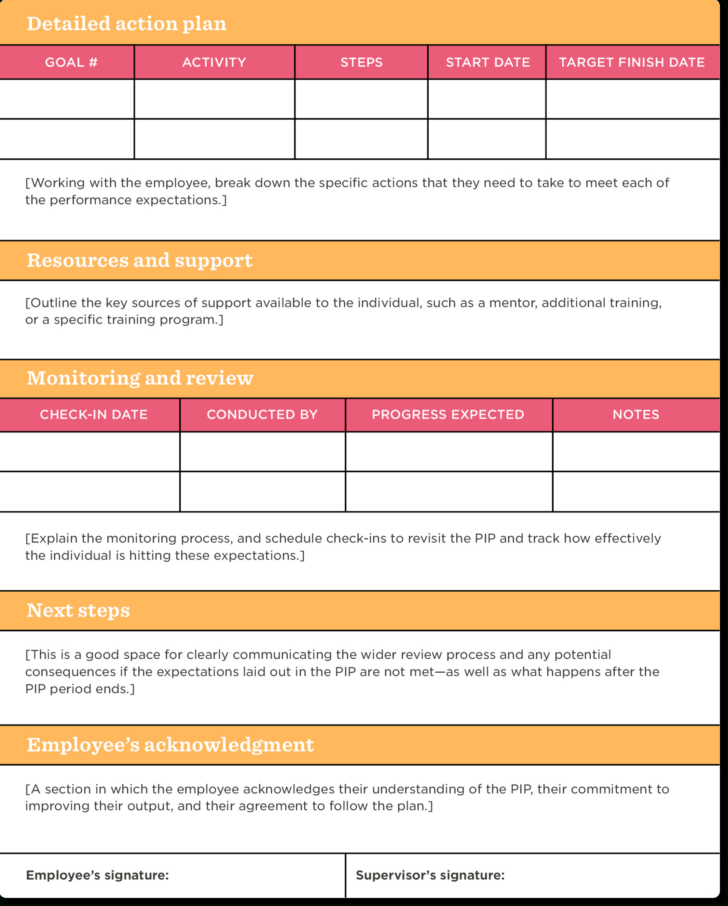 PIP Sample Template