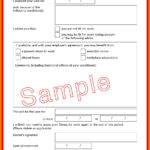 Pin Page Within Doctor'S Note Sample Template