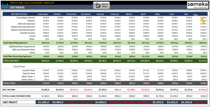 P&L Sample Template