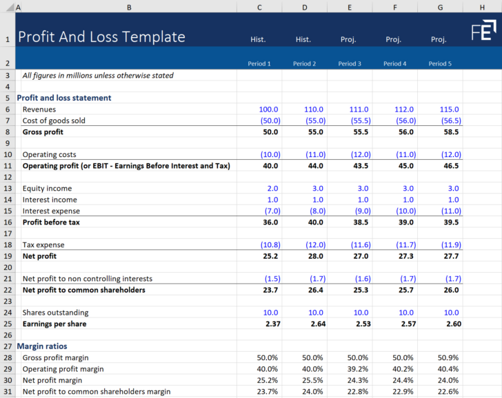 Profit and Loss Statement Sample Template