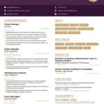 Project Manager Resume [2024]   Example & Full Guide For Project Manager Resume Template Sample