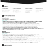 Resume Examples For 2024 & Guides For Any Job [90+ Examples] With General Resume Sample Templates