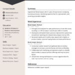 Retail Analyst Resume Examples (Template & 20+ Tips) For Retail Resume Template Sample