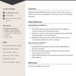 Sales Professional Resume Examples (Template & 20+ Tips) Regarding Sales Resume Sample Template