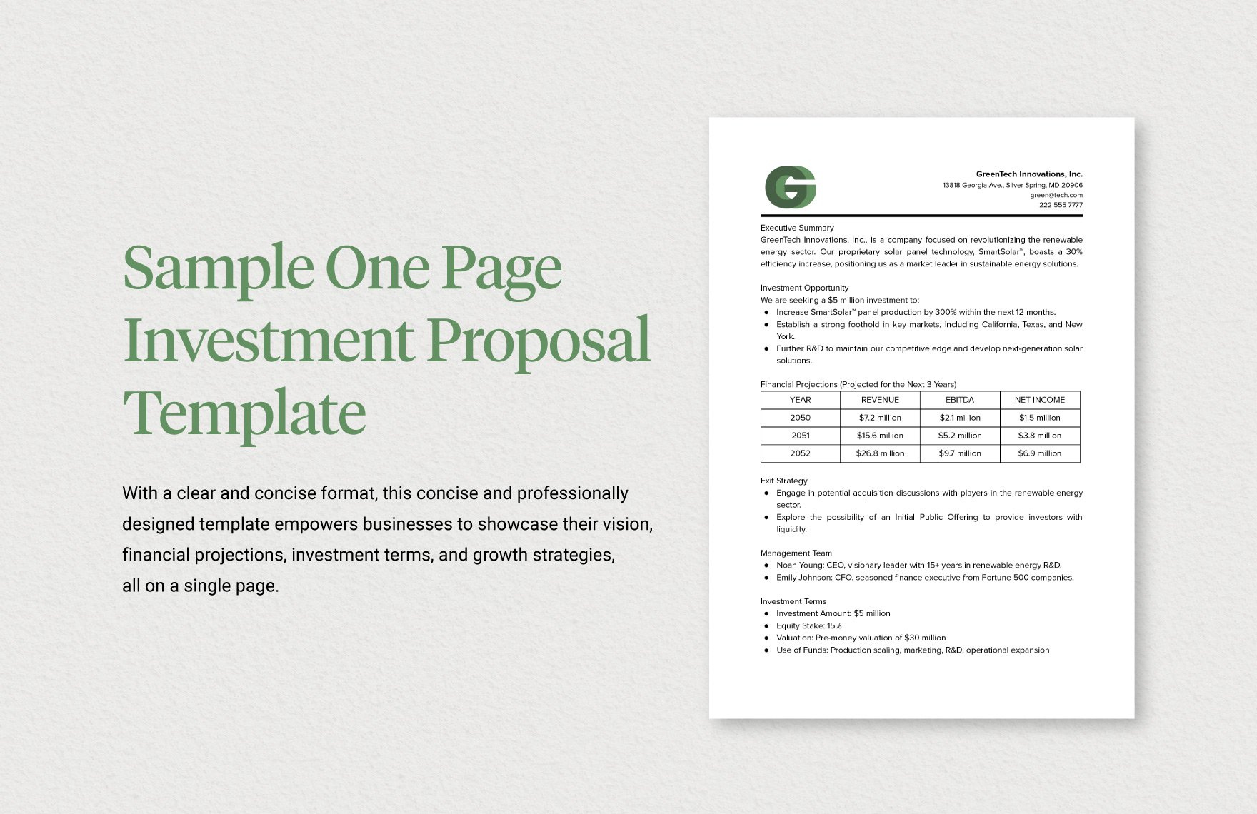 Sample One Page Investment Proposal Template In Word, Pdf, Google within Investment Proposal Template Sample