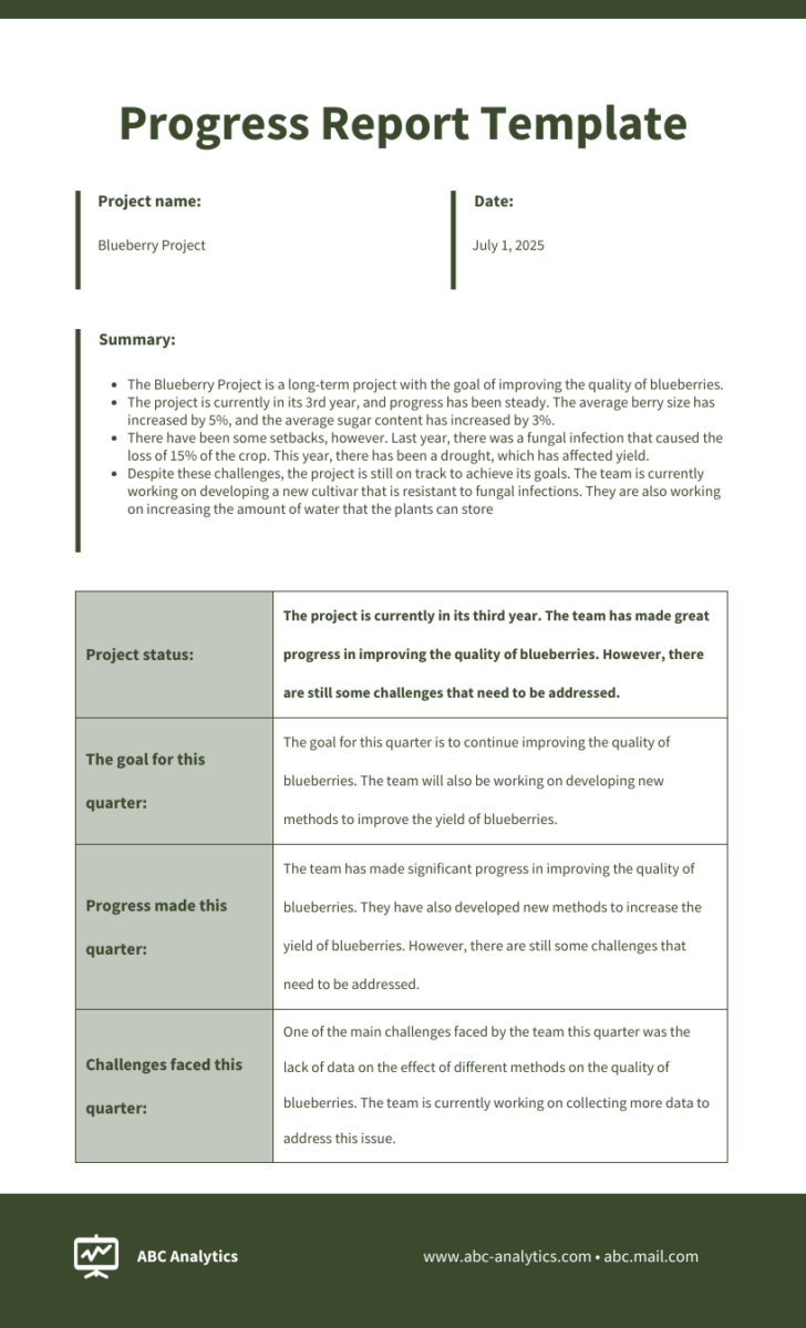 Status Report Template Sample