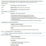 Sample Resume Of Sales Executive With Template & Writing Guide For Sales Resume Sample Template