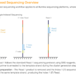 Sample Sheet And Demultiplexing | Genomics Platform Inside Illumina Sample Sheet Template