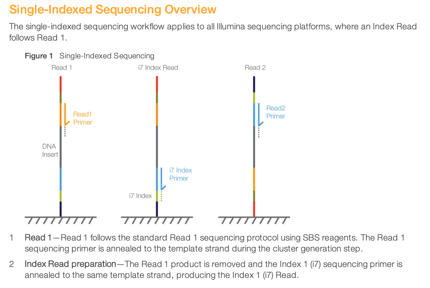 Sample Sheet And Demultiplexing | Genomics Platform inside Illumina Sample Sheet Template