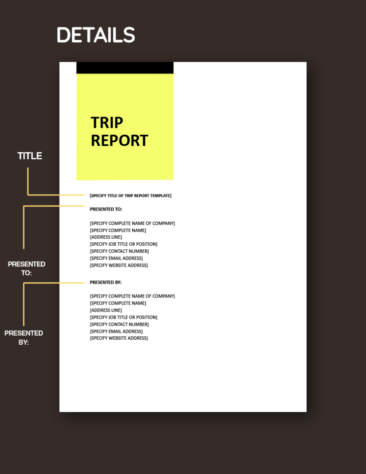 Sample Trip Report Template