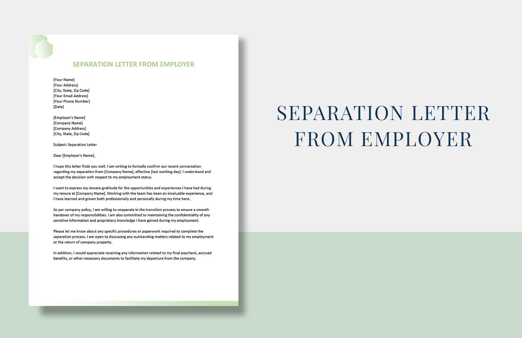 Separation Letter From Employer In Word, Google Docs, Pages with Separation Letter from Employer Sample Template