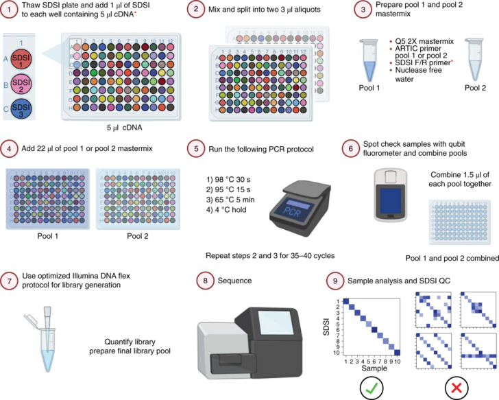 MiSeq Sample Sheet Template