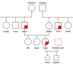 Ten Free Editable Genogram Examples Throughout Genogram Sample Template