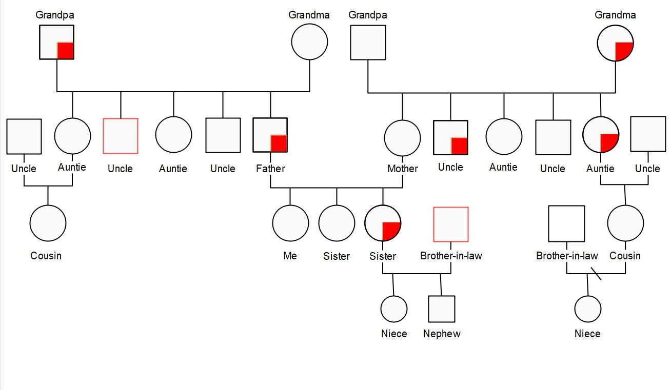 Ten Free Editable Genogram Examples throughout Genogram Sample Template