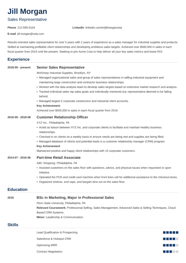 Curriculum Vitae Template Sample