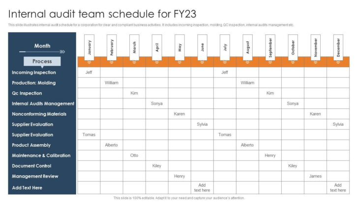 Audit Plan Schedule Sample Template