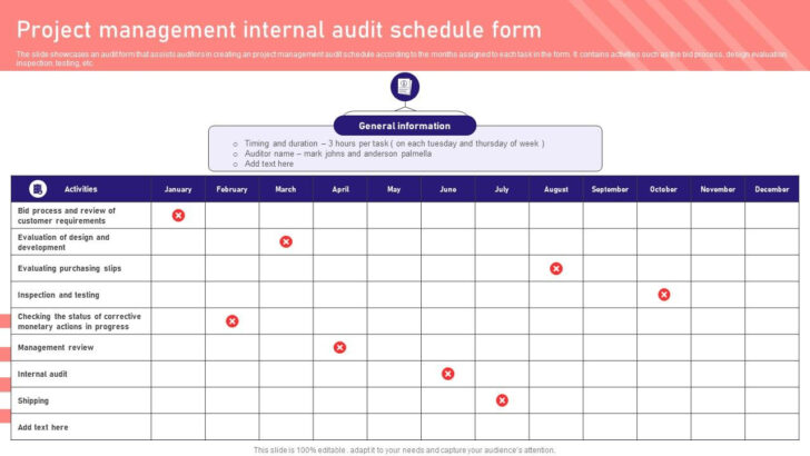 Sample Audit Plan Template