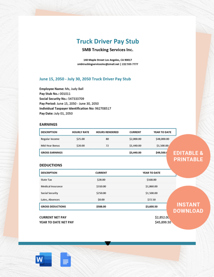 Pay Stub Template Free Sample