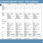 Ultimate Nursing Report Sheet Database & Free Downloads Within Nursing Report Sheet Templates Sample