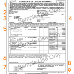 What Is A Coi?   Harry Levine Insurance Intended For Coi Sample Template