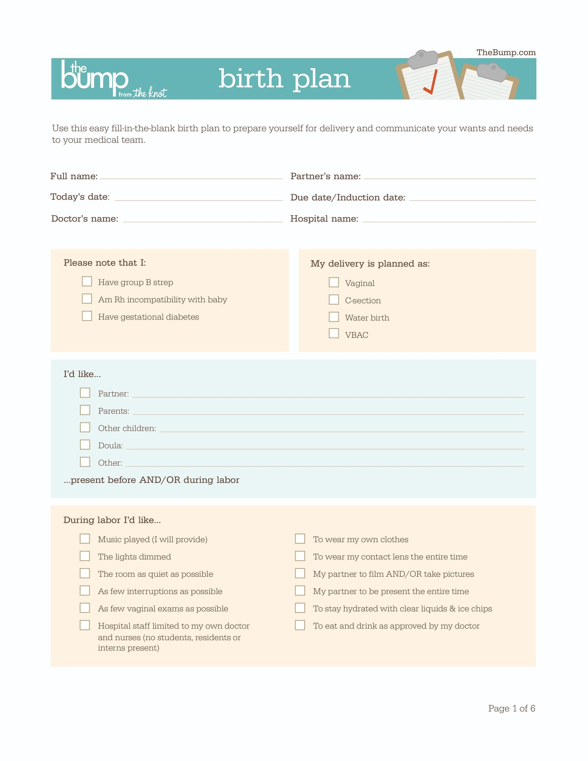 47+ Printable Birth Plan Templates [Birth Plan Checklist] ᐅ within Free Printable Birth Plan Template