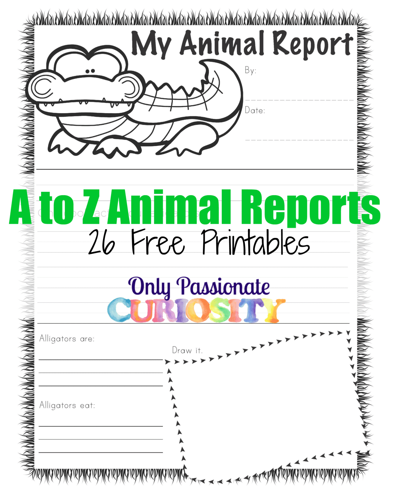 Abc Animal Reports - Only Passionate Curiosity regarding Free Printable Animal Report Template