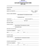 Daycare Lady Forms   Fill Online, Printable, Fillable, Blank With Free Printable Daycare Forms Template