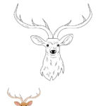 Deer Head Coloring Page In Pdf   Download | Template Regarding Free Printable Deer Head Template