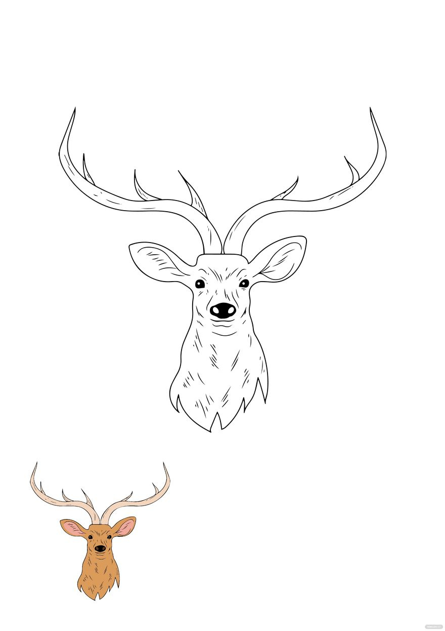 Deer Head Coloring Page In Pdf - Download | Template regarding Free Printable Deer Head Template