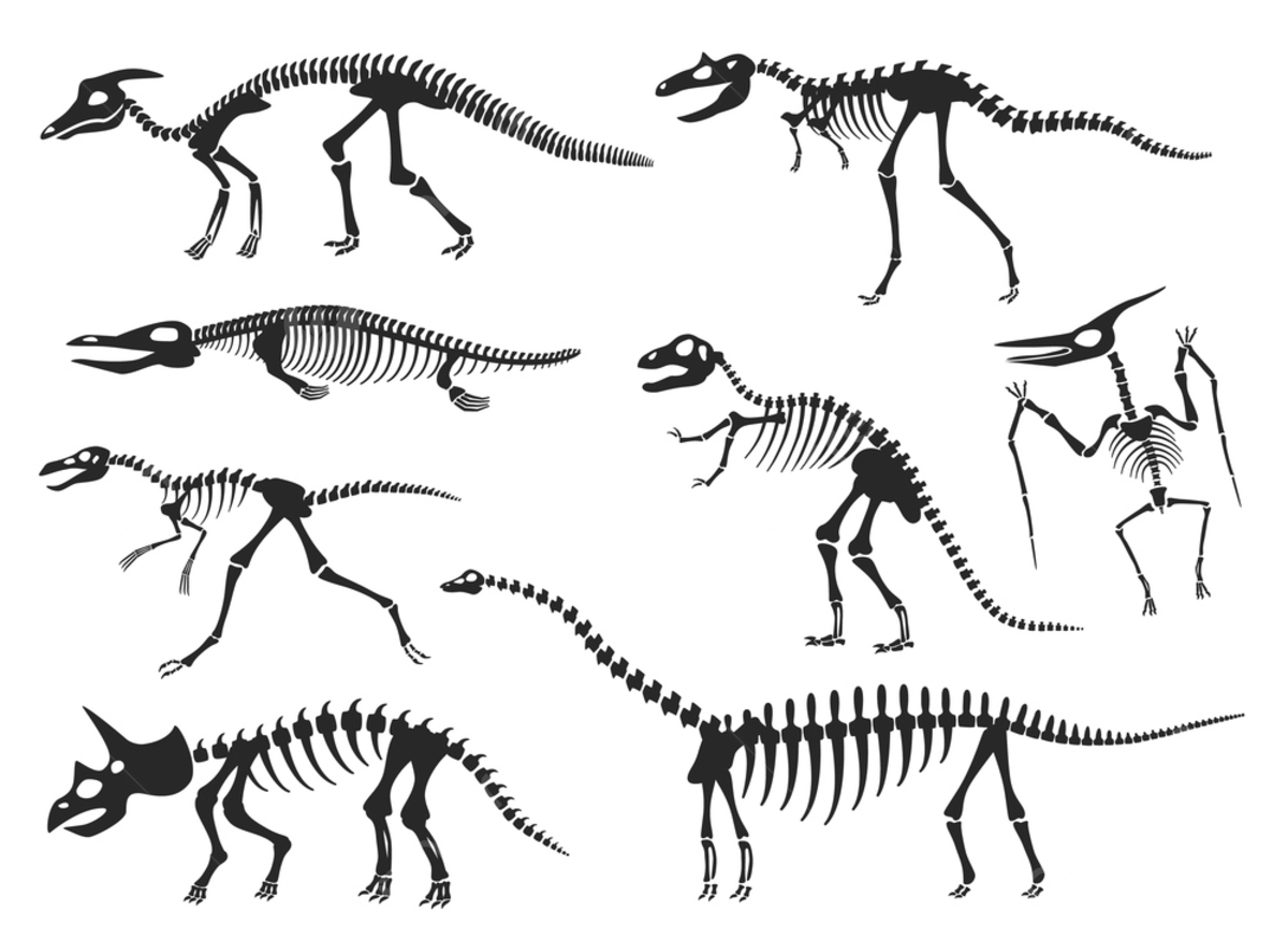 Dinosaurs Skeleton Silhouette Fossil Dinosaur Template Download On in Free Printable Dinosaur Skeleton Template