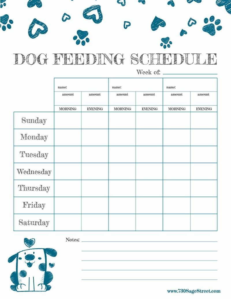 Dog Feeding Chart Printable with regard to Free Printable Dog Feeding Schedule Template