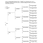 Dog Pedigree Chart Form ≡ Fill Out Printable Pdf Forms Online Inside Free Printable Dog Pedigree Template