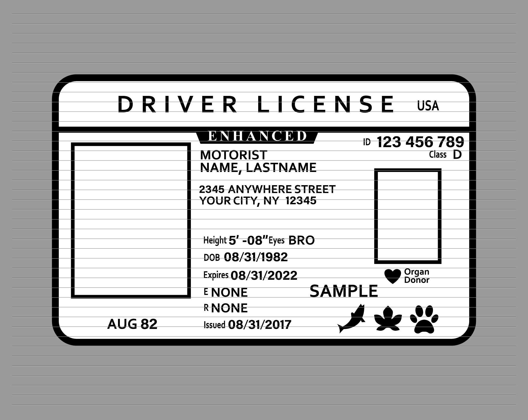 Driver Licence Svg, Driver License, Id Svg, Id Card within Free Printable Drivers License Template