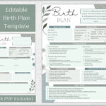 Editable Birth Plan Template Printable Birthing Plan Labour And Throughout Free Printable Birth Plan Template