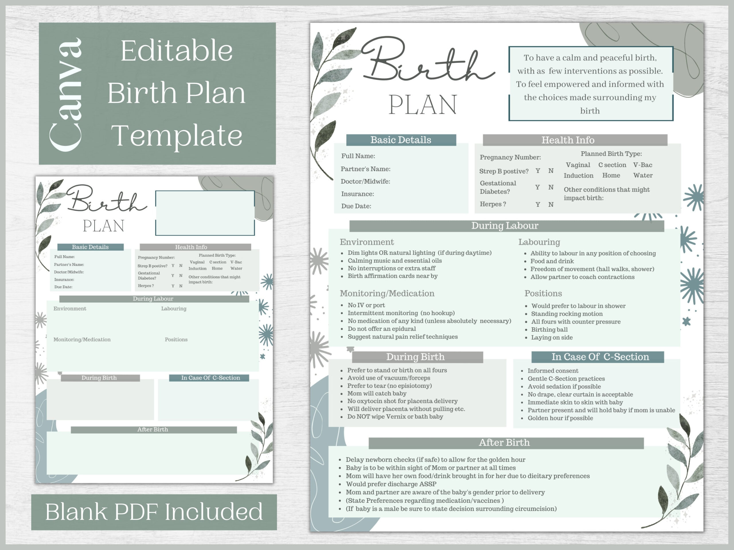 Editable Birth Plan Template Printable Birthing Plan Labour And throughout Free Printable Birth Plan Template