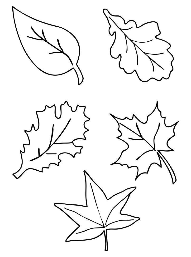 Fall Leaves Templates - 10 Free Pdf Printables | Printablee pertaining to Free Printable Fall Leaf Template