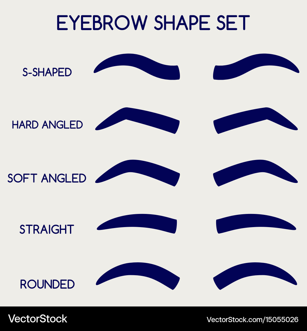 Female Eyebrows Shape Set Royalty Free Vector Image pertaining to Free Printable Eyebrow Shaping Template