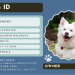 Free Custom Printable Dog Id Card Templates | Canva In Free Printable Esa Dog ID Card Template