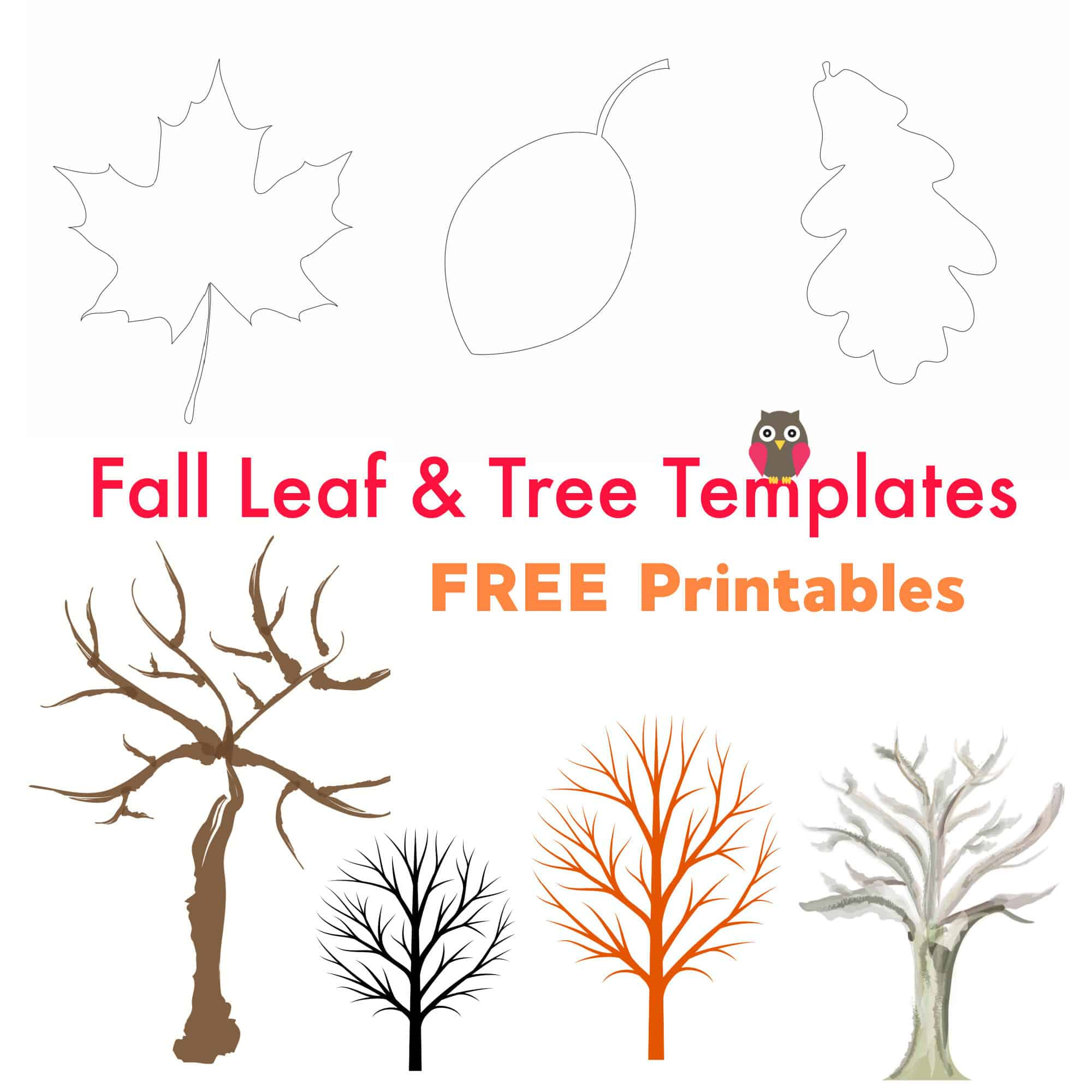 Free Printable Fall Leaf And Tree Templates - Emma Owl throughout Free Printable Fall Tree Template