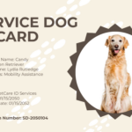 Free Simple Service Dog/Animal Id Card Template To Edit Online Within Free Printable Esa Dog ID Card Template