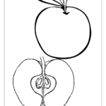 Fruit Coloring Pages   Vegetable Coloring Pages   Food Coloring Throughout Free Printable Fruit And Vegetable Template