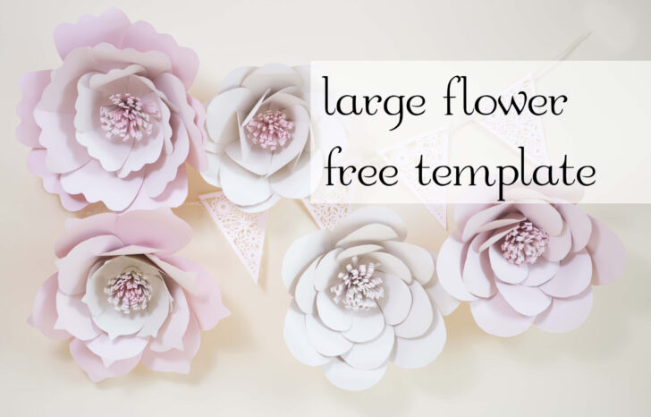 Free Printable Giant Paper Flower Template