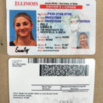 Illinois Driving License Psd Template | Driving License Template For Free Printable Blank Illinois Drivers License Template