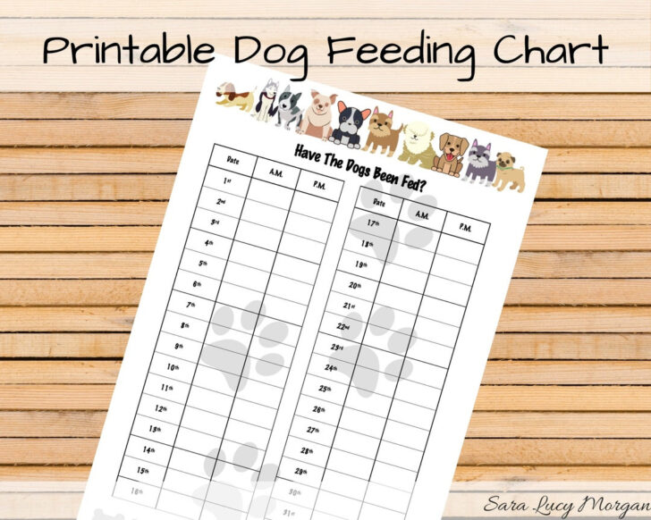 Free Printable Dog Feeding Schedule Template