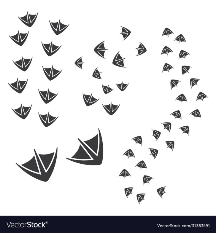 Free Printable Duck Feet Template